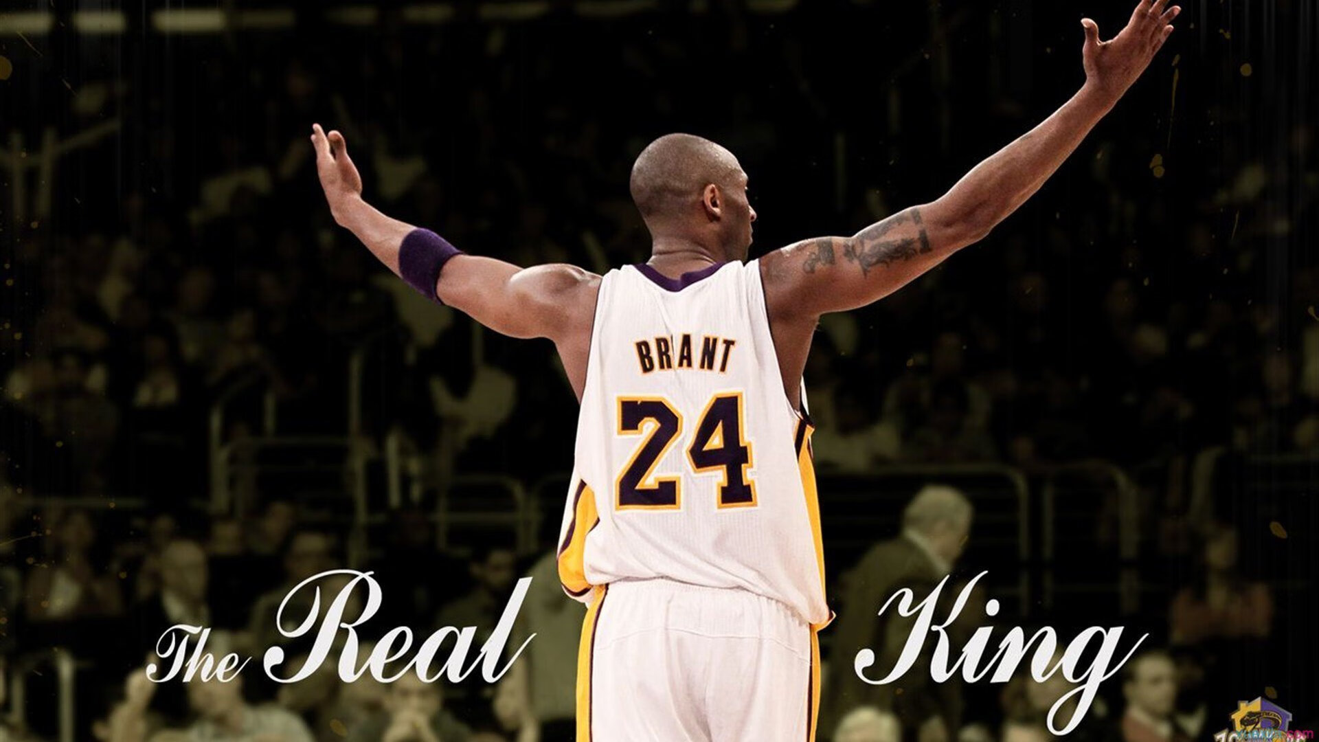 赛道上的权力更迭,塞恩斯统治全场,迈凯伦逆转阿斯顿马丁